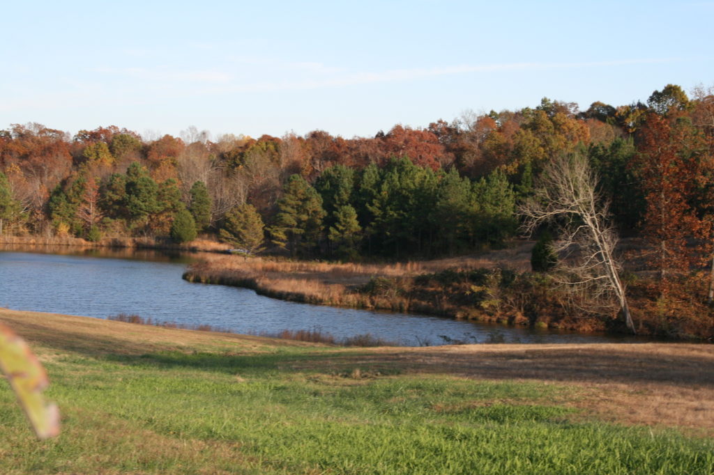 Neartown Recovery | About | Our Story | Murray