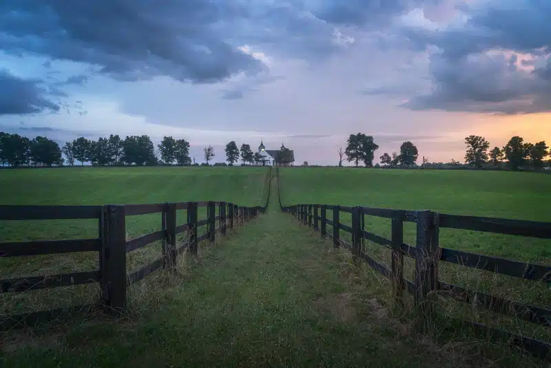 Beautiful field, serene setting in Kentucky