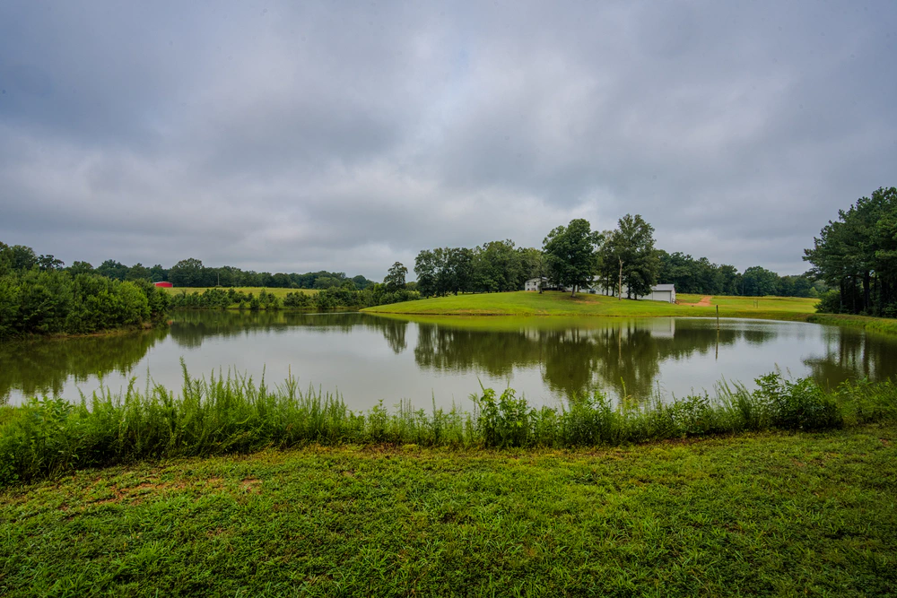 beatiful-pond-at-neartown-recovery-residential-center