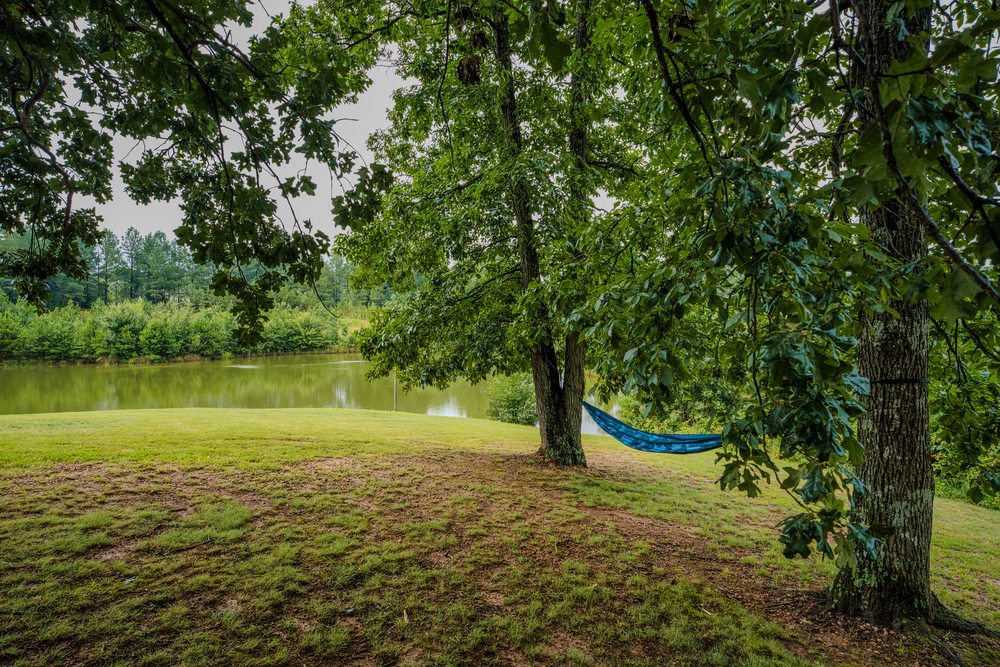 hammock between trees