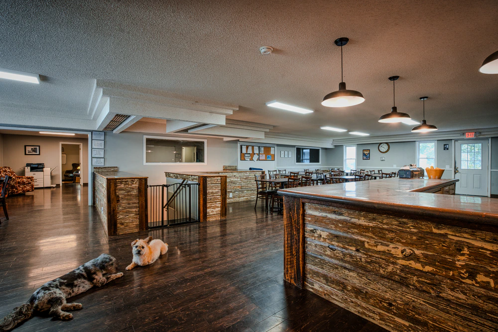 residential-addiction-center-dining-area-with-cute-dogs